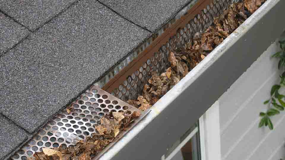 Best Gutter Guards